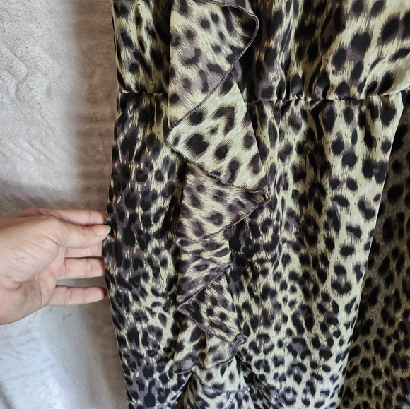 EUC Dynamite Leopard Print Dress - Picture 2 of 4